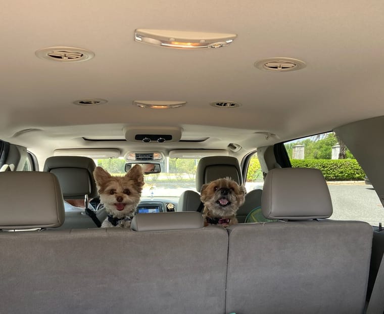 IMG_1651.jpeg